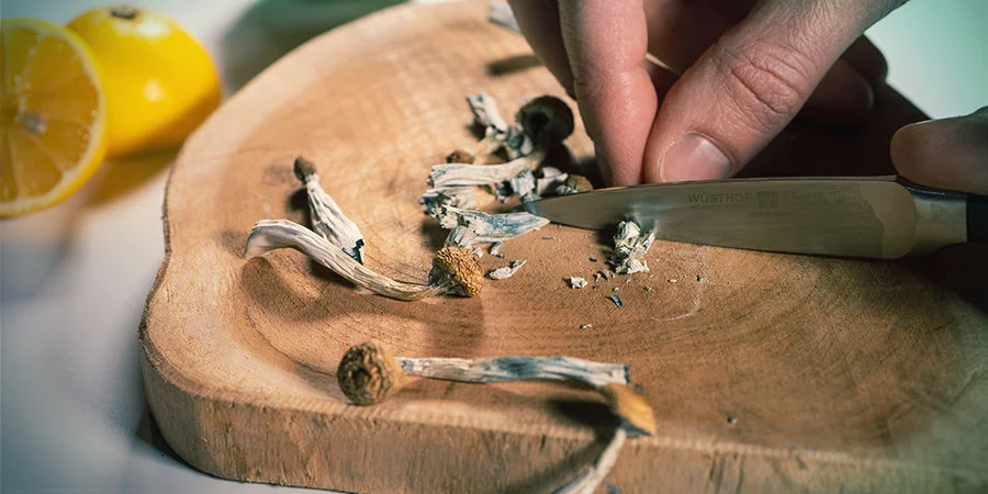 The Essential Guide to Buying Magic Mushrooms Online: Tips and Safety